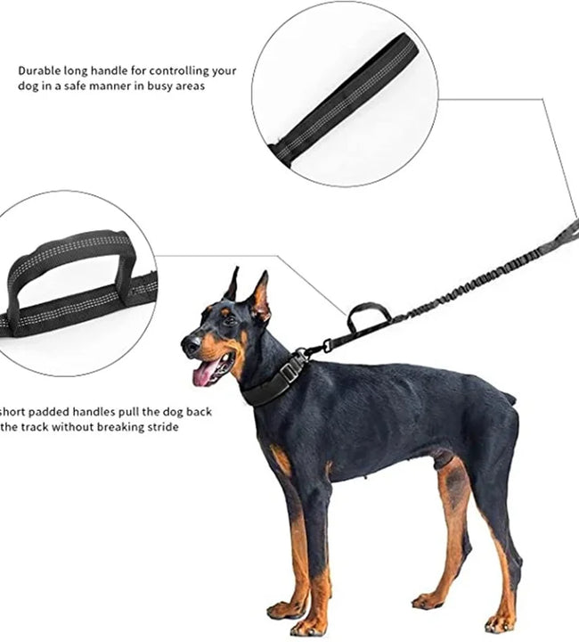 Dog Collar Durable Tactical Leash Set Adjustable Military Pet Collar Leash Medium Large Dog German Shepherd Training Accessories