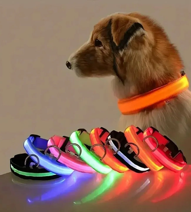 Nylon LED Night Safety Flashing Glow In The Dark Dog Leash Dogs Luminous Fluorescent Pet Dog Collar