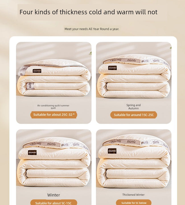 Soybean Fiber Quilt Inner Quilt Spring & Fall Summer Blanket Airable Cover Single All Year Round Neutral Thick Warm Winter Duvet