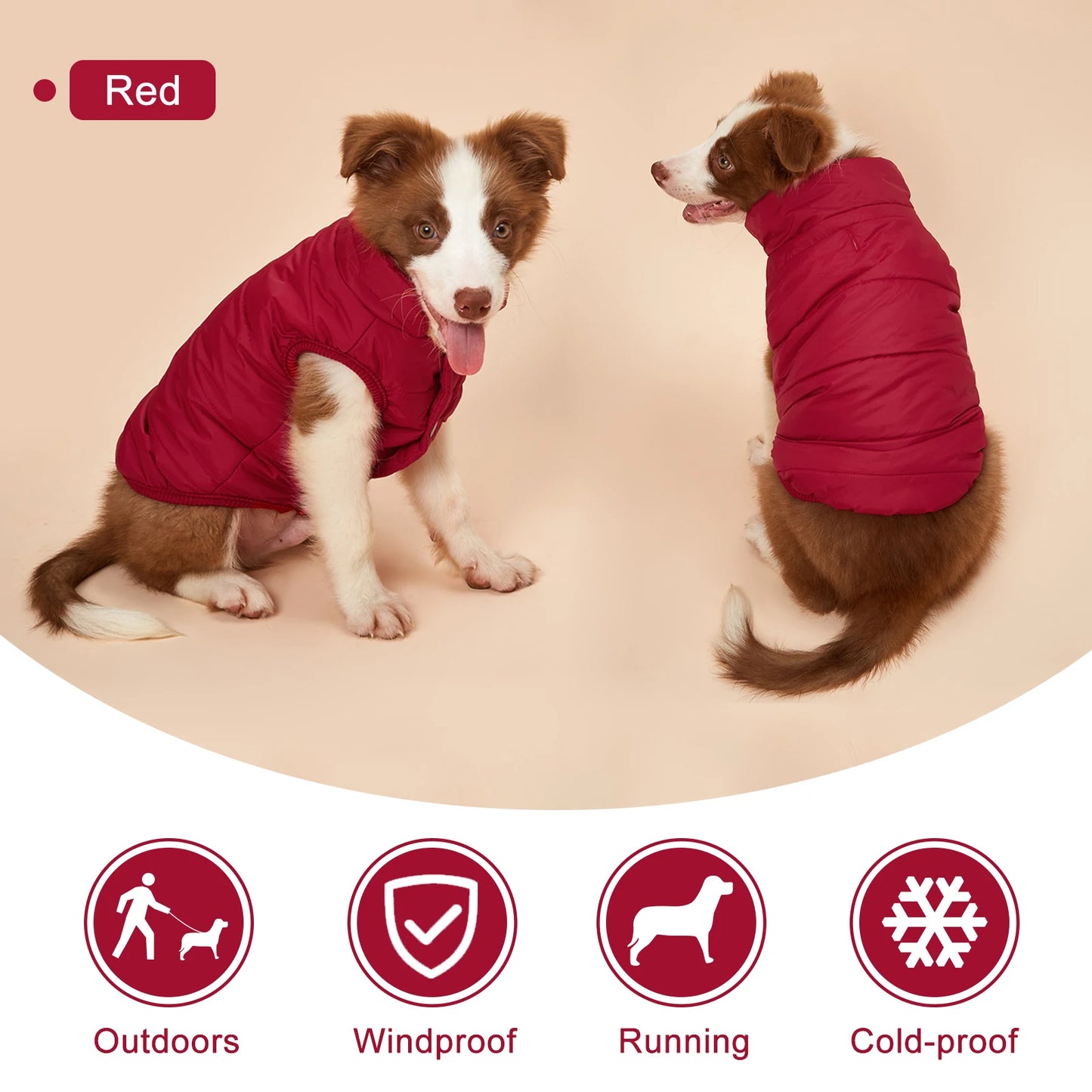 Winter Dog Clothes Outdoor Cold Proof Warm Dog Jacket with Fleece Cotton Lining Chihuahua French Bulldog Puppy Clothing Coat