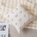 45x45cm Pillowcase 9