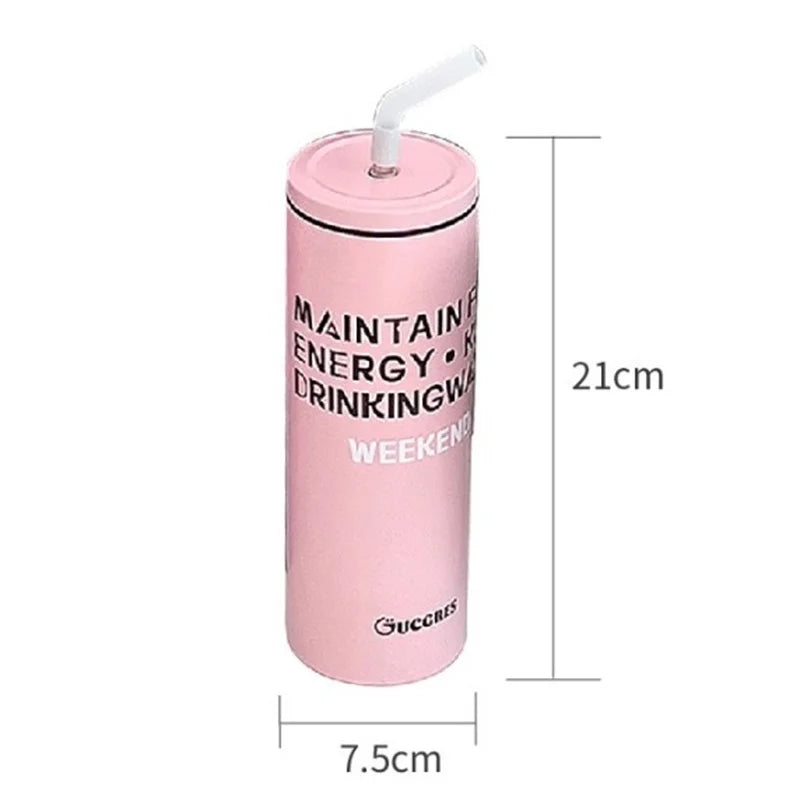 Stainless Steel Insulated Tumbler With Straw & Lid Large Capacity Straw Mug Home Car Outdoor Insulated Water Bottle