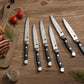 4/6/8p Steak Knife Set Stainless Steel Highly Polished Handles Outdoor Barbecue Tourist Facas De Cozinha CuteloTool Steak Knives