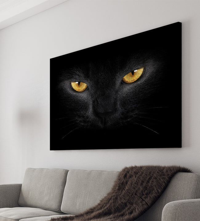 Black Cat Canvas Art