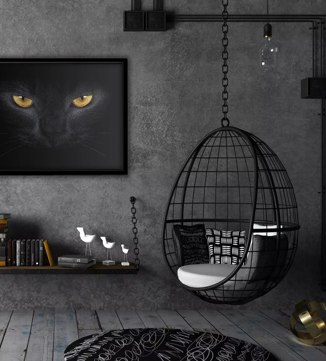Black Cat Framed Canvas