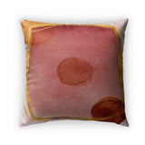 Wine Stain Pillow